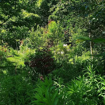 La Petite Maison Du Jardin D'apollon Bed and Breakfast