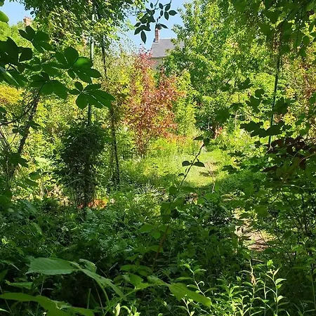 La Petite Maison Du Jardin D'apollon Bed and Breakfast