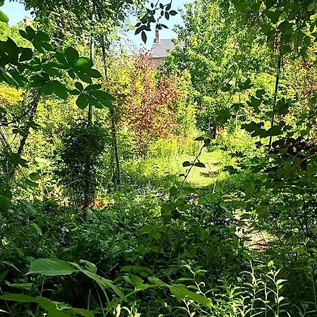 Acomodação com café da manhã  La Petite Maison Du Jardin D'apollon