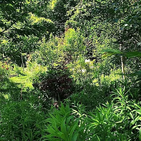 Nocleg ze śniadaniem La Petite Maison Du Jardin D'apollon 3*
